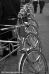 Cycles