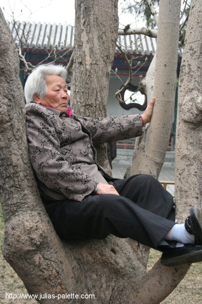 Woman in a Tree